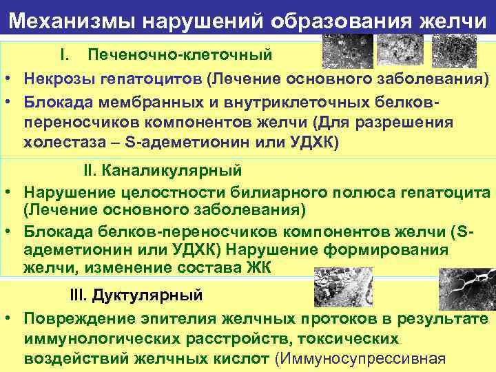 Механизмы нарушений образования желчи I. Печеночно-клеточный • Некрозы гепатоцитов (Лечение основного заболевания) • Блокада