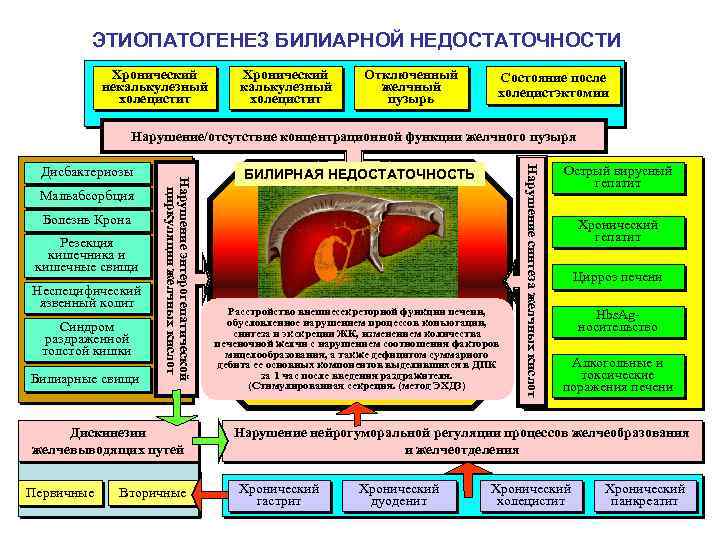 ЭТИОПАТОГЕНЕЗ БИЛИАРНОЙ НЕДОСТАТОЧНОСТИ Хронический некалькулезный холецистит Хронический калькулезный холецистит Отключенный желчный пузырь Состояние после