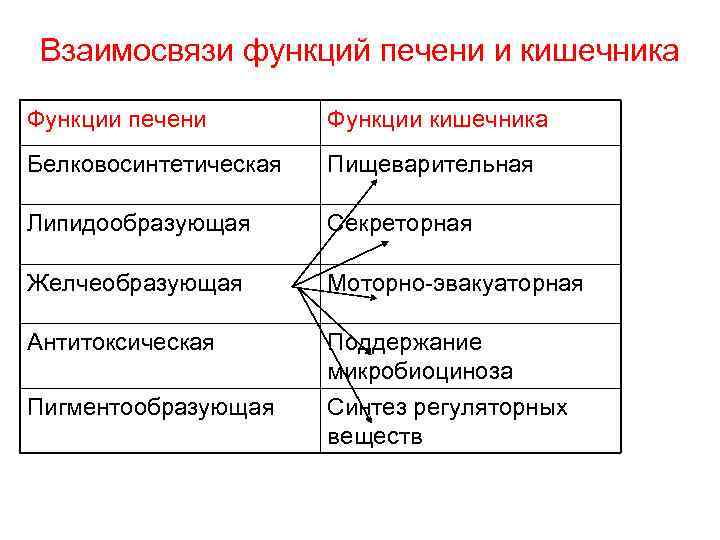 Взаимосвязи функций печени и кишечника Функции печени Функции кишечника Белковосинтетическая Пищеварительная Липидообразующая Секреторная Желчеобразующая