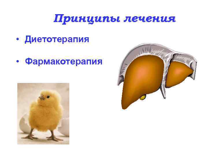 Принципы лечения • Диетотерапия • Фармакотерапия 