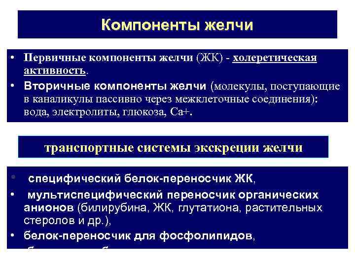 Компоненты желчи • Первичные компоненты желчи (ЖК) - холеретическая активность. • Вторичные компоненты желчи