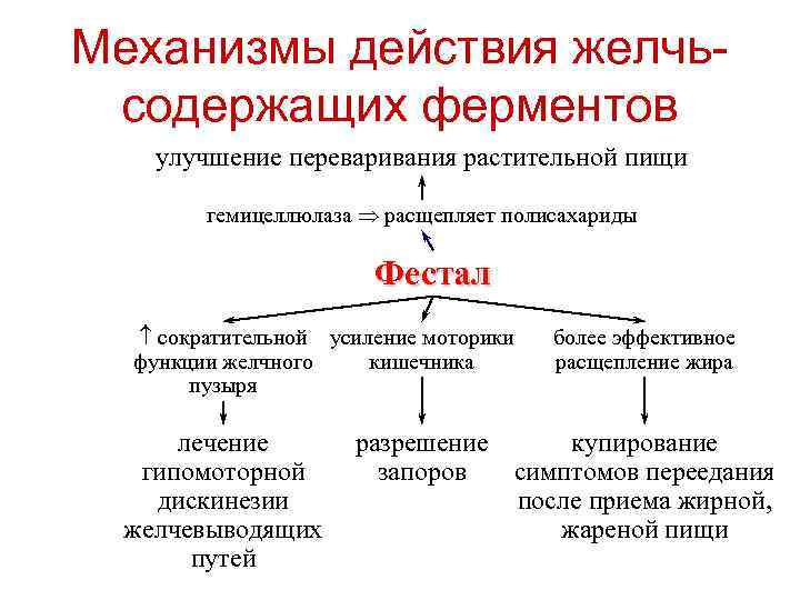 Механизмы действия желчьсодержащих ферментов улучшение переваривания растительной пищи гемицеллюлаза расщепляет полисахариды Фестал сократительной усиление