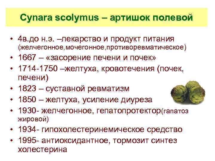 Cynara scolymus – артишок полевой • 4 в. до н. э. –лекарство и продукт