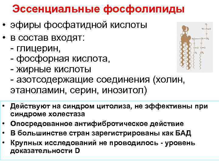 Эссенциальные фосфолипиды • эфиры фосфатидной кислоты • в состав входят: - глицерин, - фосфорная