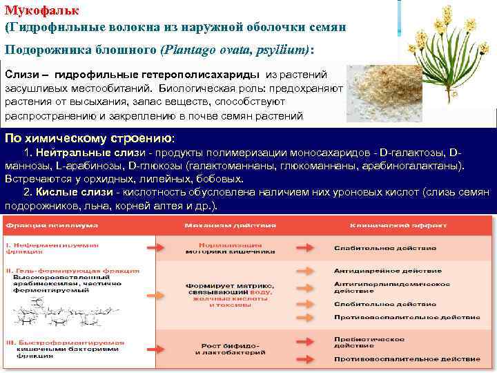 Мукофальк (Гидрофильные волокна из наружной оболочки семян Подорожника блошного (Plantago ovata, psyllium): Слизи –