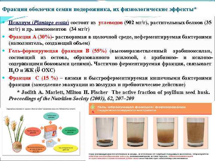 Фракции оболочки семян подорожника, их физиологические эффекты* Псилиум (Plantago ovata) состоит из углеводов (902