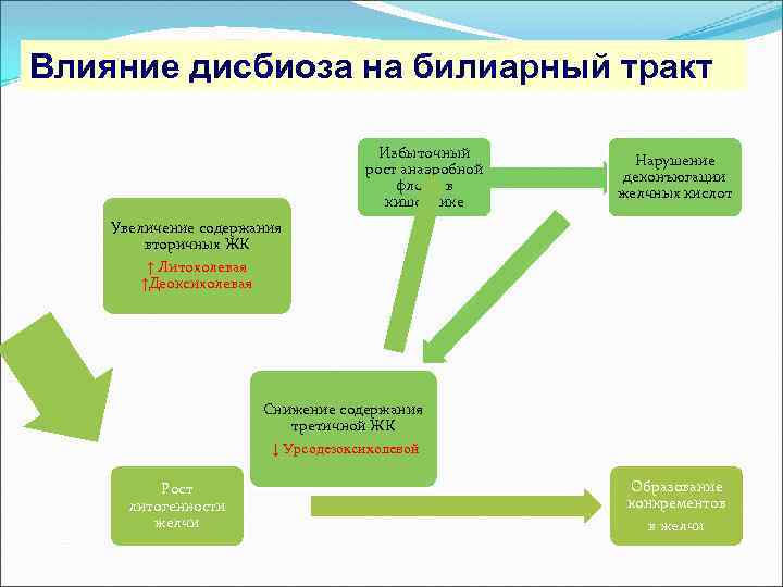 Влияние дисбиоза на билиарный тракт Избыточный рост анаэробной флоры в кишечнике Нарушение деконъюгации желчных