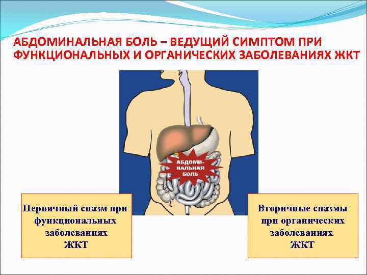 АБДОМИНАЛЬНАЯ БОЛЬ – ВЕДУЩИЙ СИМПТОМ ПРИ ФУНКЦИОНАЛЬНЫХ И ОРГАНИЧЕСКИХ ЗАБОЛЕВАНИЯХ ЖКТ Первичный спазм при