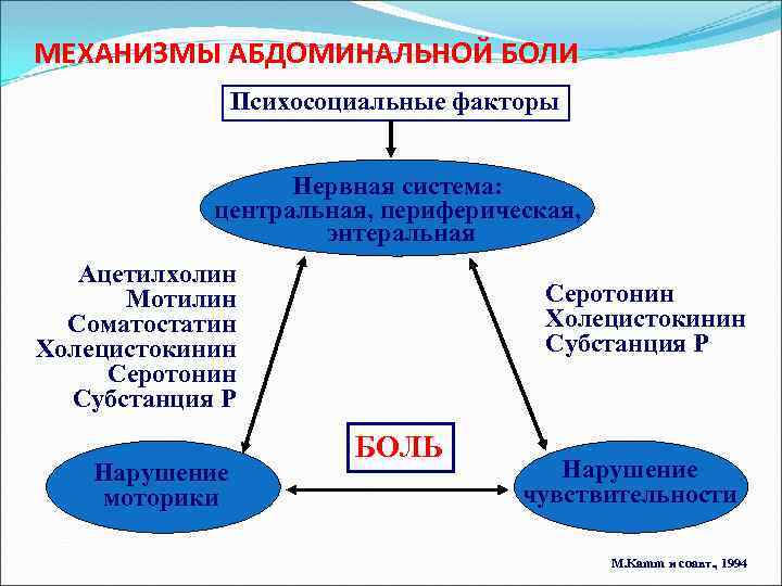 МЕХАНИЗМЫ АБДОМИНАЛЬНОЙ БОЛИ Психосоциальные факторы Нервная система: центральная, периферическая, энтеральная Ацетилхолин Мотилин Соматостатин Холецистокинин