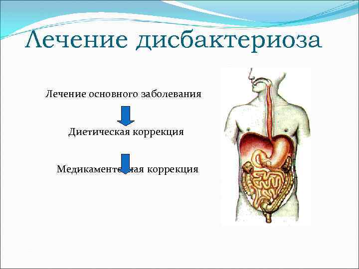 Лечение дисбактериоза Лечение основного заболевания Диетическая коррекция Медикаментозная коррекция 