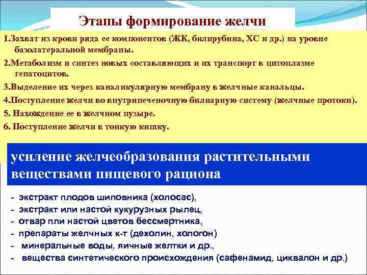 Этапы формирование желчи 1. Захват из крови ряда ее компонентов (ЖК, билирубина, ХС и