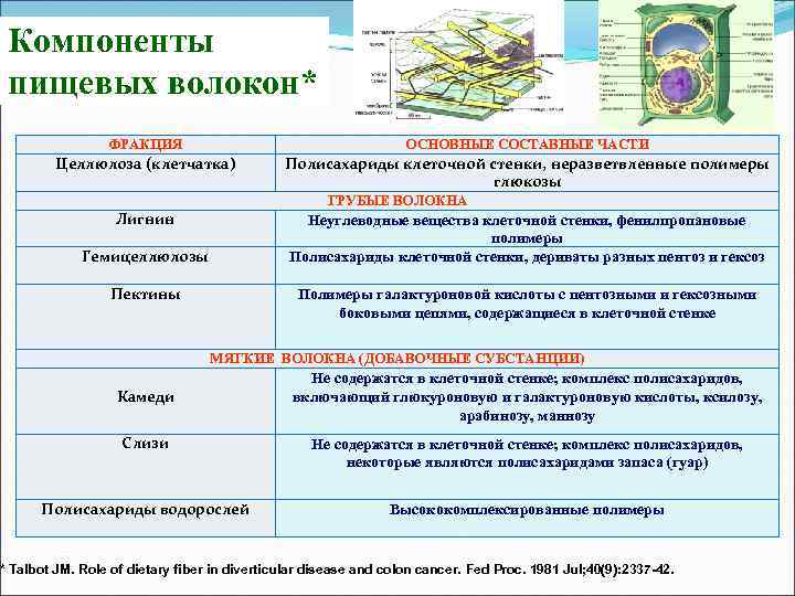 Компоненты пищевых волокон* ФРАКЦИЯ ОСНОВНЫЕ СОСТАВНЫЕ ЧАСТИ Целлюлоза (клетчатка) Полисахариды клеточной стенки, неразветвленные полимеры