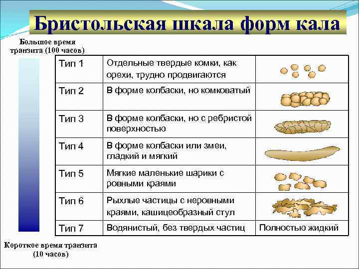 Бристольская шкала форм кала Большое время транзита (100 часов) Тип 1 Отдельные твердые комки,