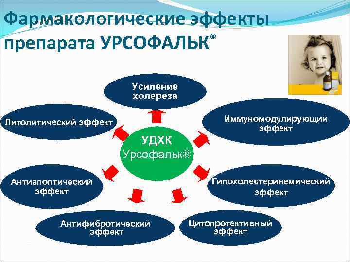 Фармакологические эффекты препарата УРСОФАЛЬК® Усиление холереза Иммуномодулирующий эффект Литолитический эффект УДХК Урсофальк® Антиапоптический эффект