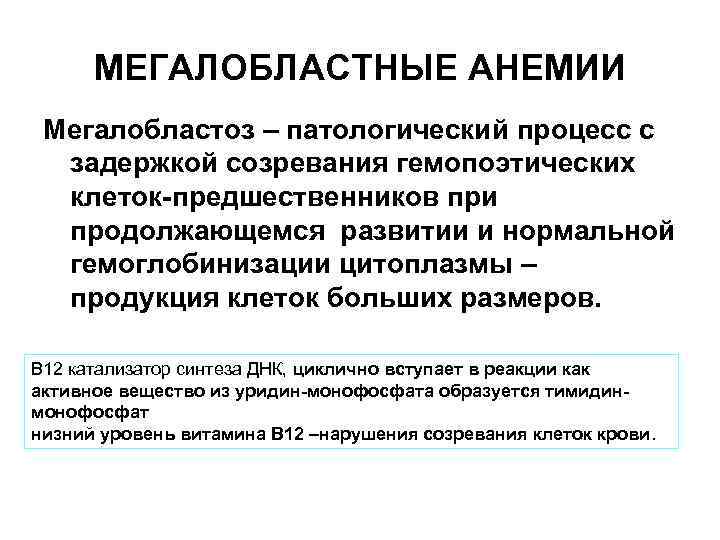 МЕГАЛОБЛАСТНЫЕ АНЕМИИ Мегалобластоз – патологический процесс с задержкой созревания гемопоэтических клеток предшественников при продолжающемся