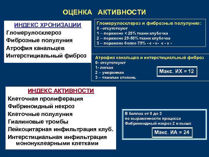 ОЦЕНКА АКТИВНОСТИ ИНДЕКС ХРОНИЗАЦИИ Гломерулосклероз Фиброзные полулуния Атрофия канальцев Интерстициальный фиброз Гломерулосклероз и фиброзные