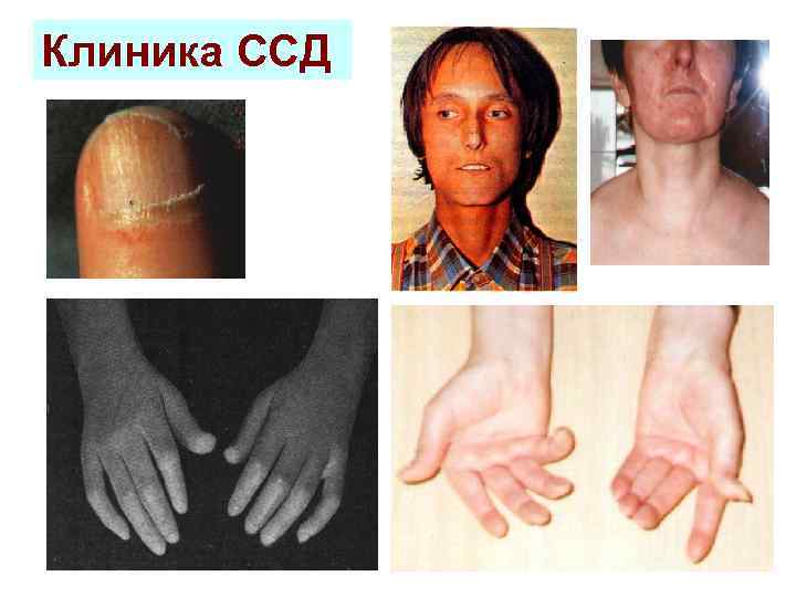 Клиника ССД 