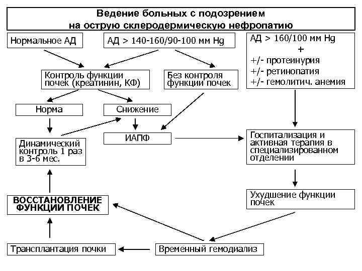 Ведение больных с подозрением на острую склеродермическую нефропатию Нормальное АД АД > 140 -160/90
