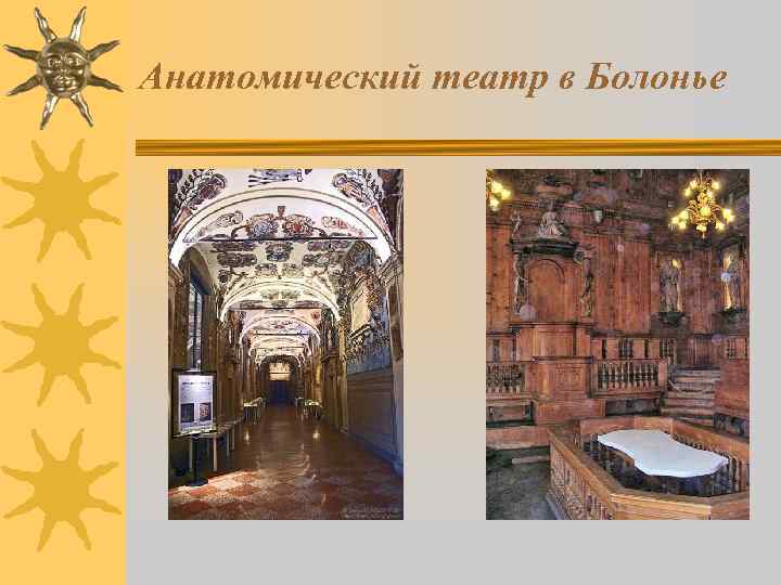 Анатомический театр в Болонье 