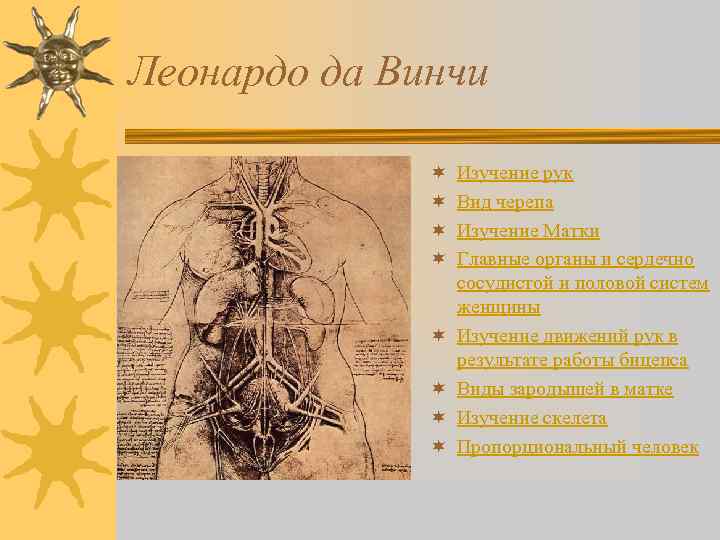 Леонардо да Винчи ¬ ¬ ¬ ¬ Изучение рук Вид черепа Изучение Матки Главные