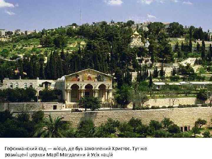 Гефсиманский сад — місце, де був захоплений Христос. Тут же розміщені церкви Марії Магдалини