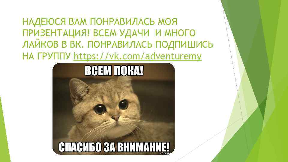 НАДЕЮСЯ ВАМ ПОНРАВИЛАСЬ МОЯ ПРИЗЕНТАЦИЯ! ВСЕМ УДАЧИ И МНОГО ЛАЙКОВ В ВК. ПОНРАВИЛАСЬ ПОДПИШИСЬ