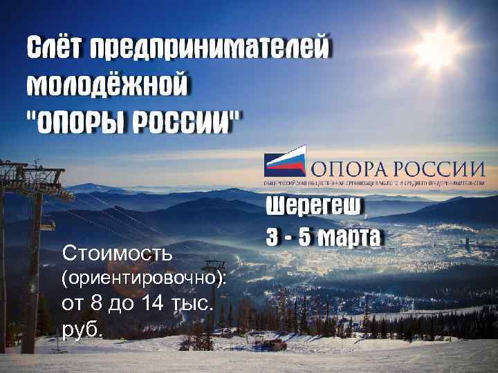Стоимость (ориентировочно): от 8 до 14 тыс. руб. 