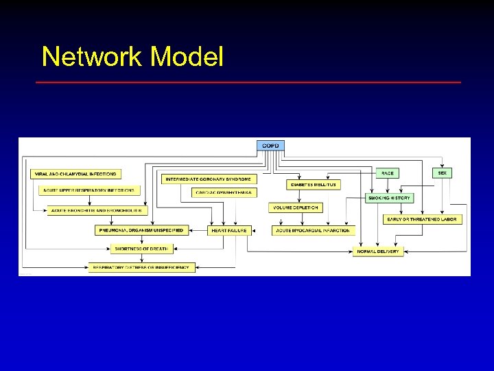 Network Model 
