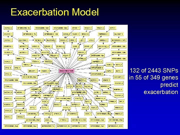 Exacerbation Model 132 of 2443 SNPs in 55 of 349 genes predict exacerbation 