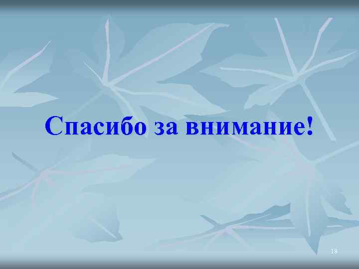 Спасибо за внимание! 18 