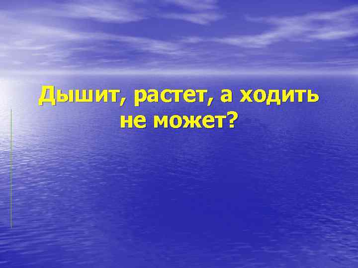 Дышит, растет, а ходить не может? 