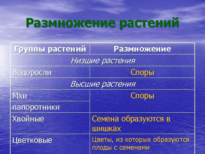 Размножение высших растений