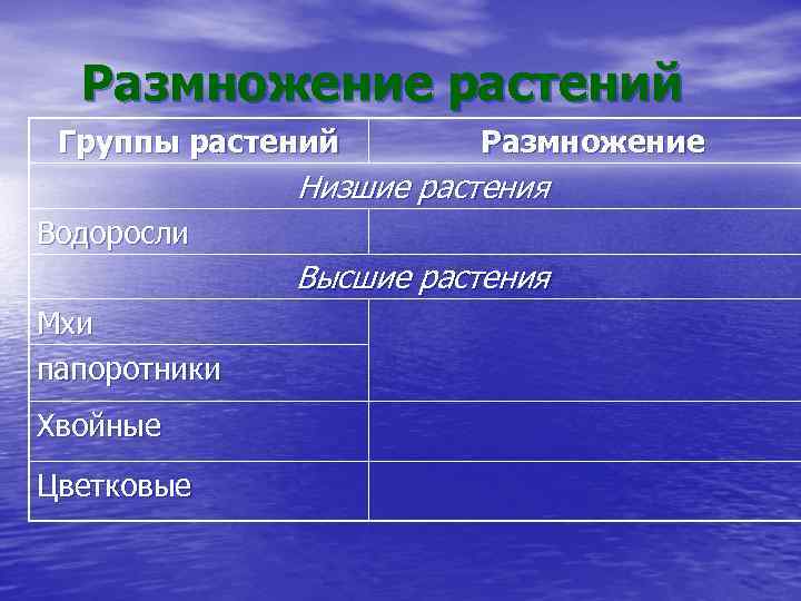 Размножение растений Группы растений Размножение Низшие растения Водоросли Высшие растения Мхи папоротники Хвойные Цветковые