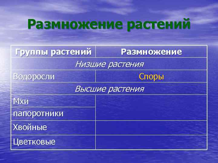 Размножение растений Группы растений Размножение Низшие растения Водоросли Споры Высшие растения Мхи папоротники Хвойные