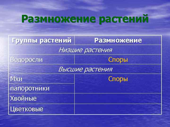Размножение растений Группы растений Размножение Низшие растения Водоросли Споры Высшие растения Мхи папоротники Хвойные
