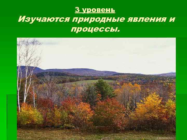 3 уровень Изучаются природные явления и процессы. 