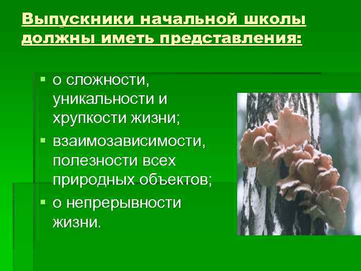 Выпускники начальной школы должны иметь представления: § о сложности, уникальности и хрупкости жизни; §