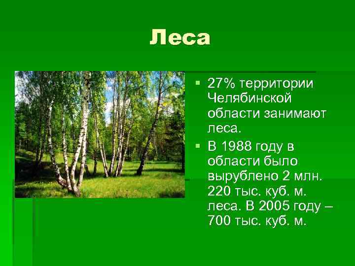 Леса § 27% территории Челябинской области занимают леса. § В 1988 году в области