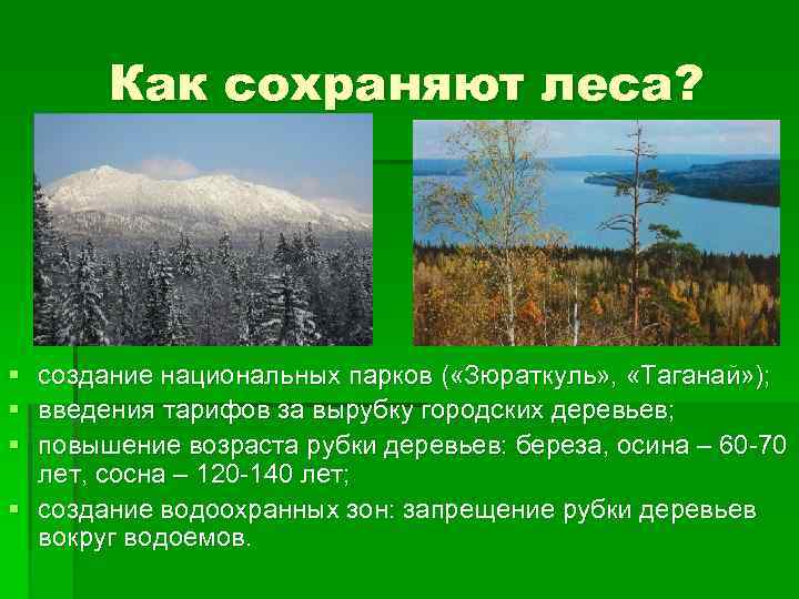 Как сохраняют леса? § создание национальных парков ( «Зюраткуль» , «Таганай» ); § введения