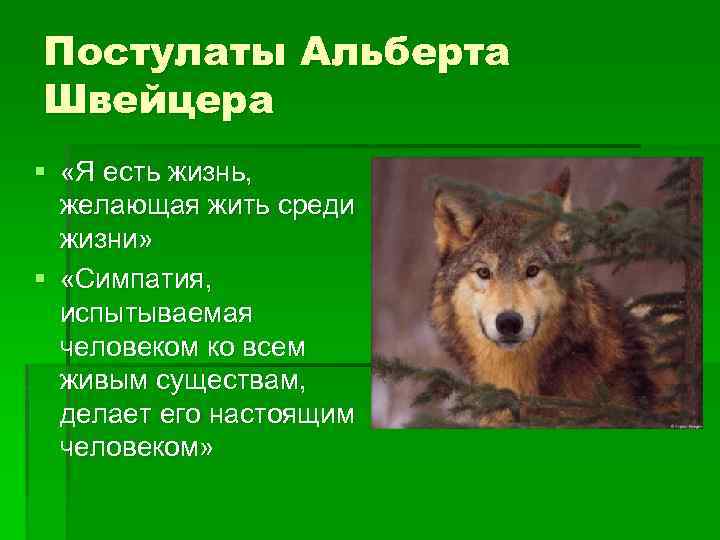 Постулаты Альберта Швейцера § «Я есть жизнь, желающая жить среди жизни» § «Симпатия, испытываемая