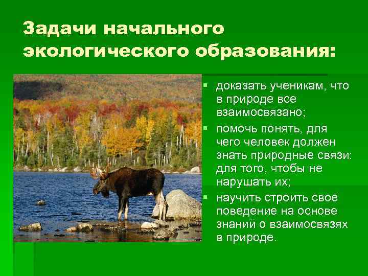 Задачи начального экологического образования: § доказать ученикам, что в природе все взаимосвязано; § помочь