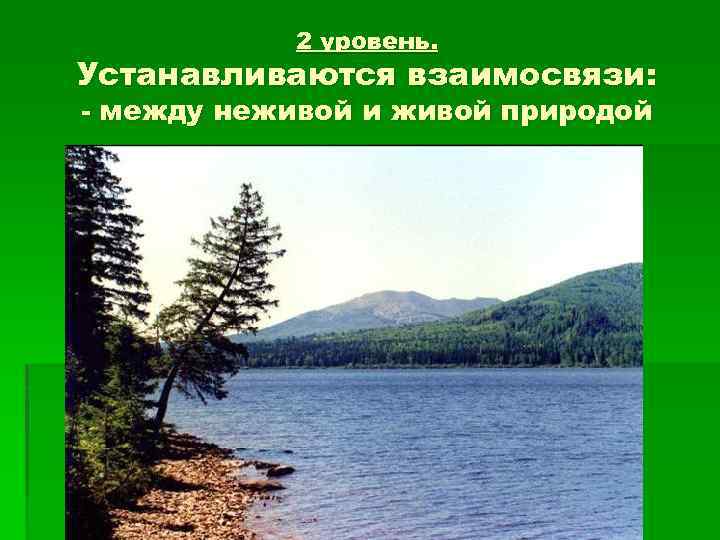 2 уровень. Устанавливаются взаимосвязи: - между неживой и живой природой 