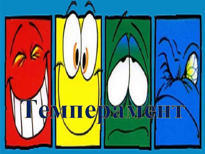Темперамент 