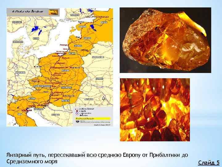 Янтарный путь. Великий Янтарный путь. Янтарный путь на карте. Великий Янтарный путь маршрут. Карта янтаря.