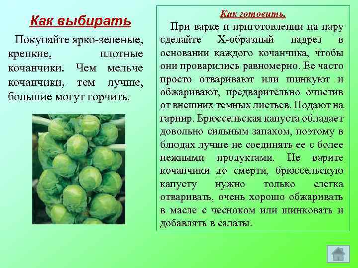 Как выбирать Покупайте ярко-зеленые, крепкие, плотные кочанчики. Чем мельче кочанчики, тем лучше, большие могут