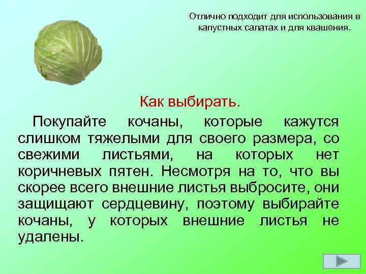 Отлично подходит для использования в капустных салатах и для квашения. Как выбирать. Покупайте кочаны,