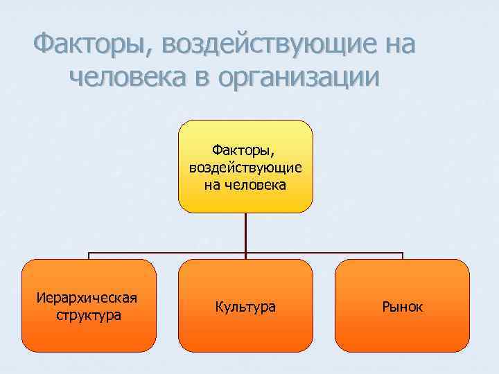 Факторы, воздействующие на человека в организации Факторы, воздействующие на человека Иерархическая структура Культура Рынок