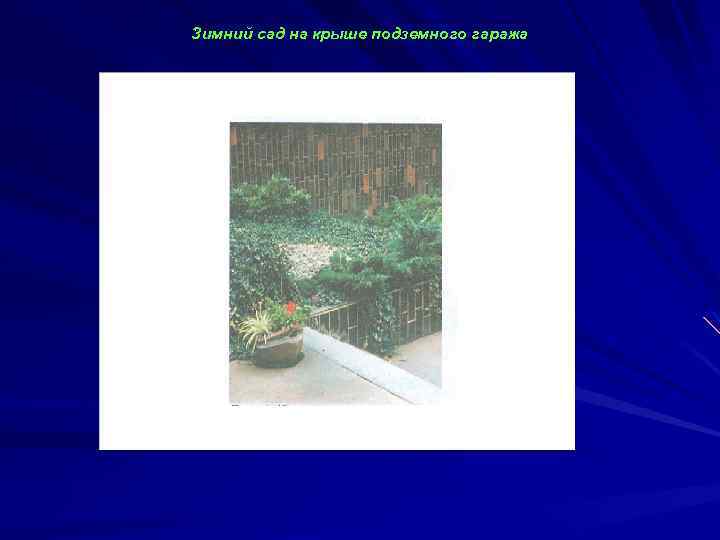 Зимний сад на крыше подземного гаража 