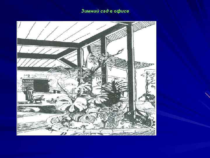 Зимний сад в офисе 