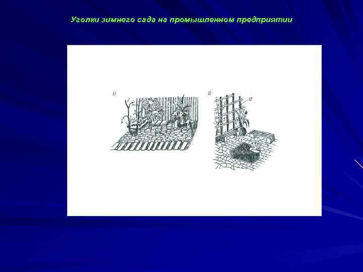 Уголки зимнего сада на промышленном предприятии 